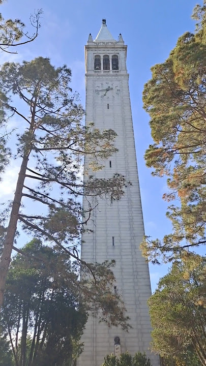 茉莉花 (Jasmine Flower) - Berkeley Campanile