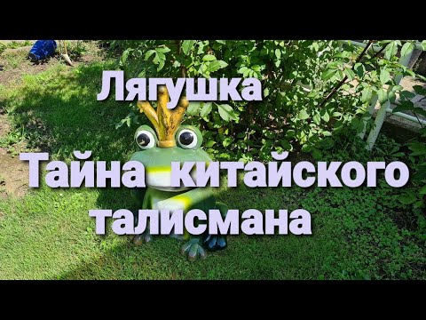 Лягушка, Тайна китайского