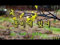 봄비에 젖어 나훈아 