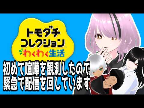 【トモコレ】オリキャラ箱庭観察記！久々のトモコレ！初めて喧嘩を観測したので今緊急で配信を回しています【#百瀬碧音】