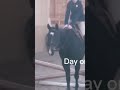 That Smile At The End says it all!  Thanks so much A! #daybydayvlogs #horse