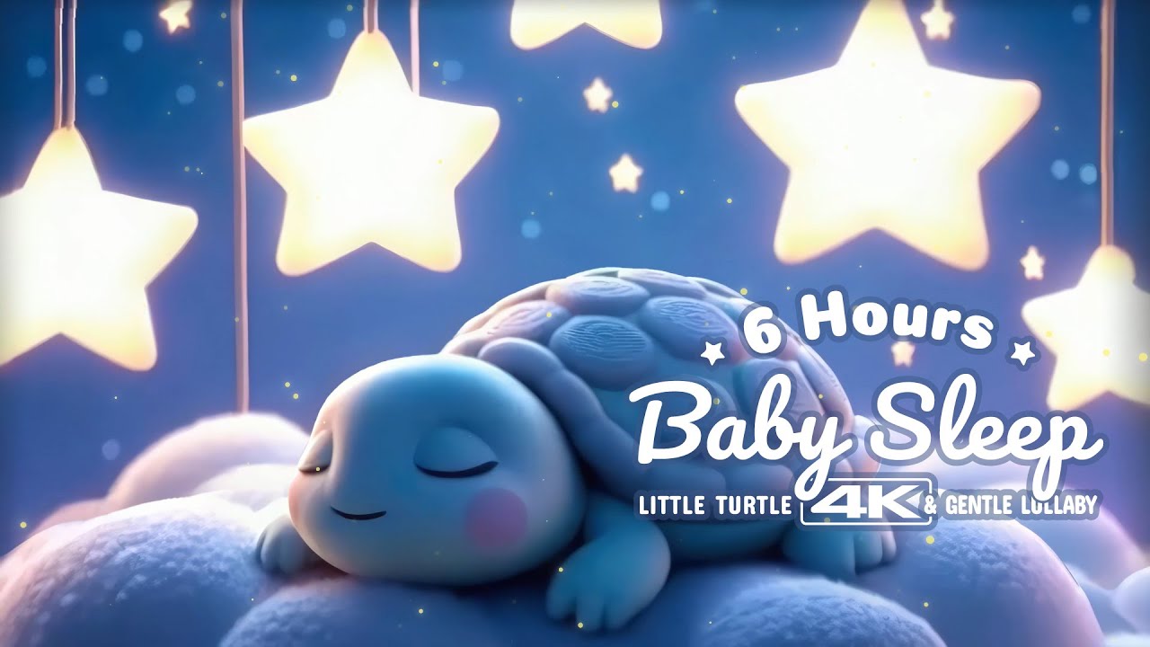 6 Hour Baby Sleep Lullabies | Little Turtle Under Star Lights (4K, No Talking)
