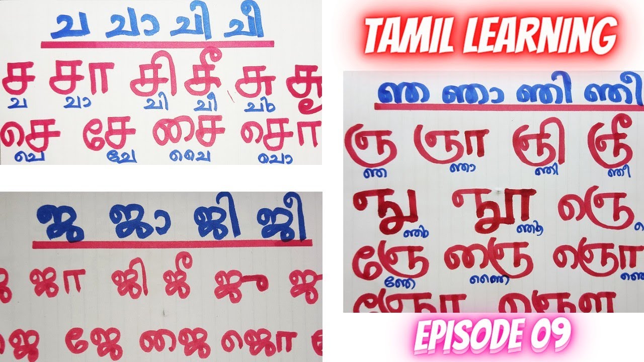 തമിഴിലെ ച, ജ & ഞ അക്ഷരമാലകൾ | Episode 09 | Tamil Learning