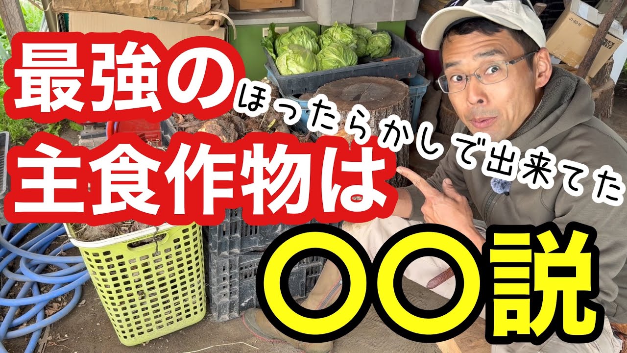 Natural Farming] The easiest staple crop to grow is taro (Home