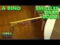 A Dino Smaller Than Doug! | Dino Dan | Best of Dino Kids