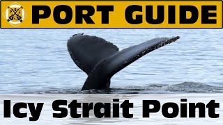 Port Guide: Icy Strait Point, Alaska  What We Think You Should Know Before You Go!  ParoDeeJay