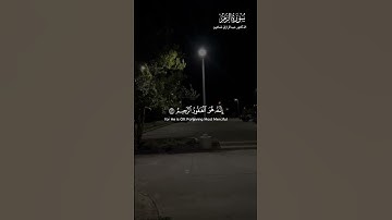 ماتيسر من سورة الزمر | #fyp #fouryou #fouryoupage #قرآن #quran #اكسبلور #راحة_نفسية #explore #دعم