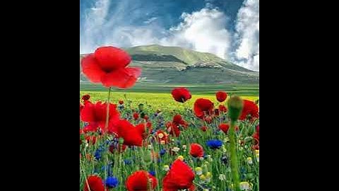 using the save sellection as in goldwave