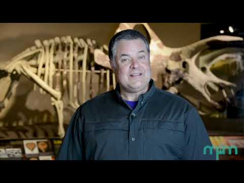 Wideo: Jakich narzędzi używają paleontolodzy?