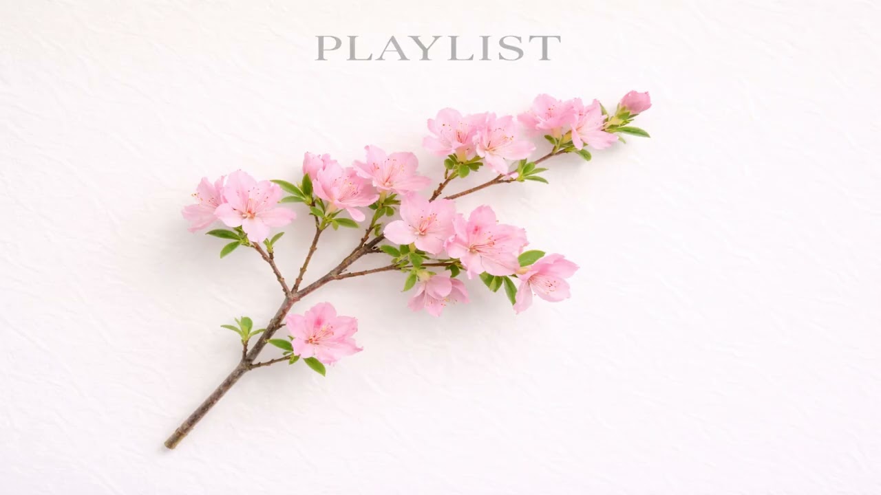 카페플리♡ 행복한 에너지 충전해요