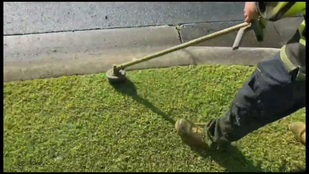 Mulch Mow with Bushranger Mower YouTube