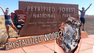 TREES 🌲 turned into CRYSTALS 💎?! Petrified Forest National Park | Arizona #vanlife #travel