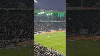 Borussia Mönchengladbach - Hoffenheim  2-1 Borussia Park 2023-12-02