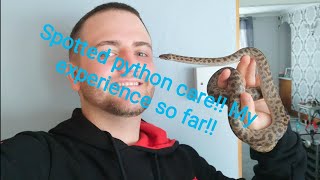 Spotted python basic care!! My experience so far