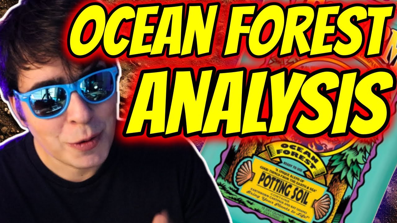 РАЗБОР ЛЕСА В ОКЕАНСКОМ ОКЕАНЕ FOX FARM | ПРАВДА И АНАЛИЗ