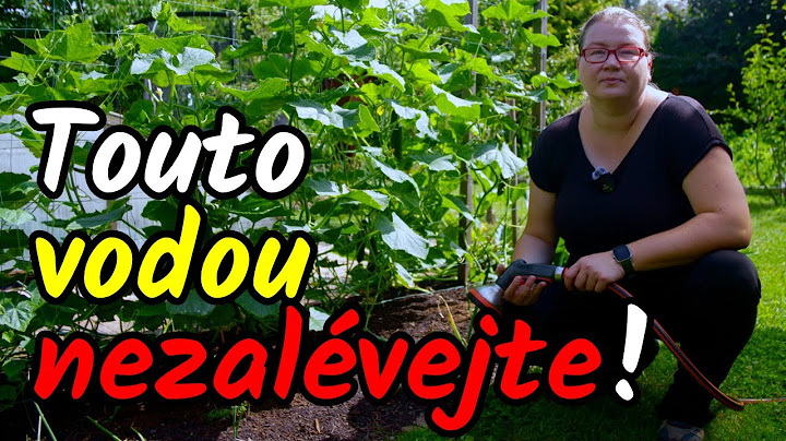 💧🚫Tato voda ZNIČÍ ÚRODU a nikdy s ní nezalévejte! Voda v zahradě