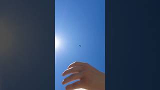 Yart Flips Keep The World Flipn Day 8 dalasign