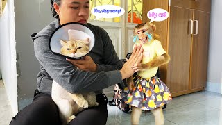 Monkey LyLy cried because her mother wouldn't let her near the sick cat Tommy