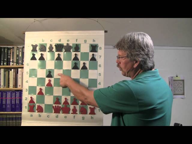 Disasters in the Chess Opening! - GM Rafael Leitao (EMPIRE CHESS) 