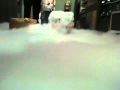 Fun with dry ice!