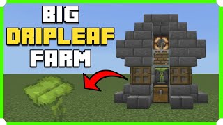 How To Build A Big DripLeaf Farm In Minecraft Bedrock (MCPE/Xbox/PS4/Switch/Windows10)