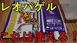 【レオパードゲッコー】初めての人工飼料レオパゲルをあげてみる