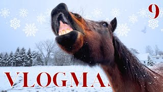 IT’S A SNOW DAY!!! #vlogmas2023 by The Project Equestrian 971 views 5 months ago 10 minutes, 44 seconds