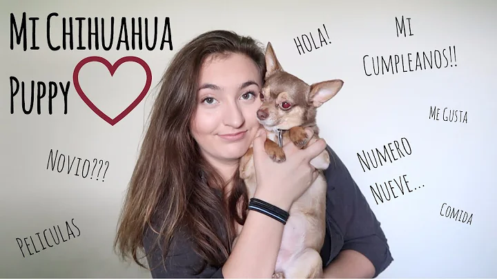 My First Video in Spanish!