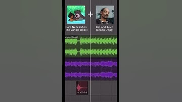 Thumbnail of Snoop dogg Jin and juice but different🤔🤔🤔￼@snoopdogg #snoopdoggtiktok