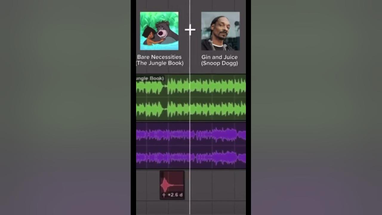 Snoop dogg Jin and juice but different🤔🤔🤔￼@snoopdogg #snoopdoggtiktok