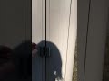 There's a weird noise coming from my shed