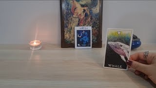 برج العقرب 🌼 التجسس على الشريك