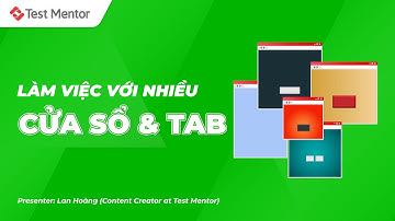 Selenium Webdriver: Làm việc với nhiều cửa sổ và tab | Test Mentor