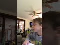 Minecraft spider Dave