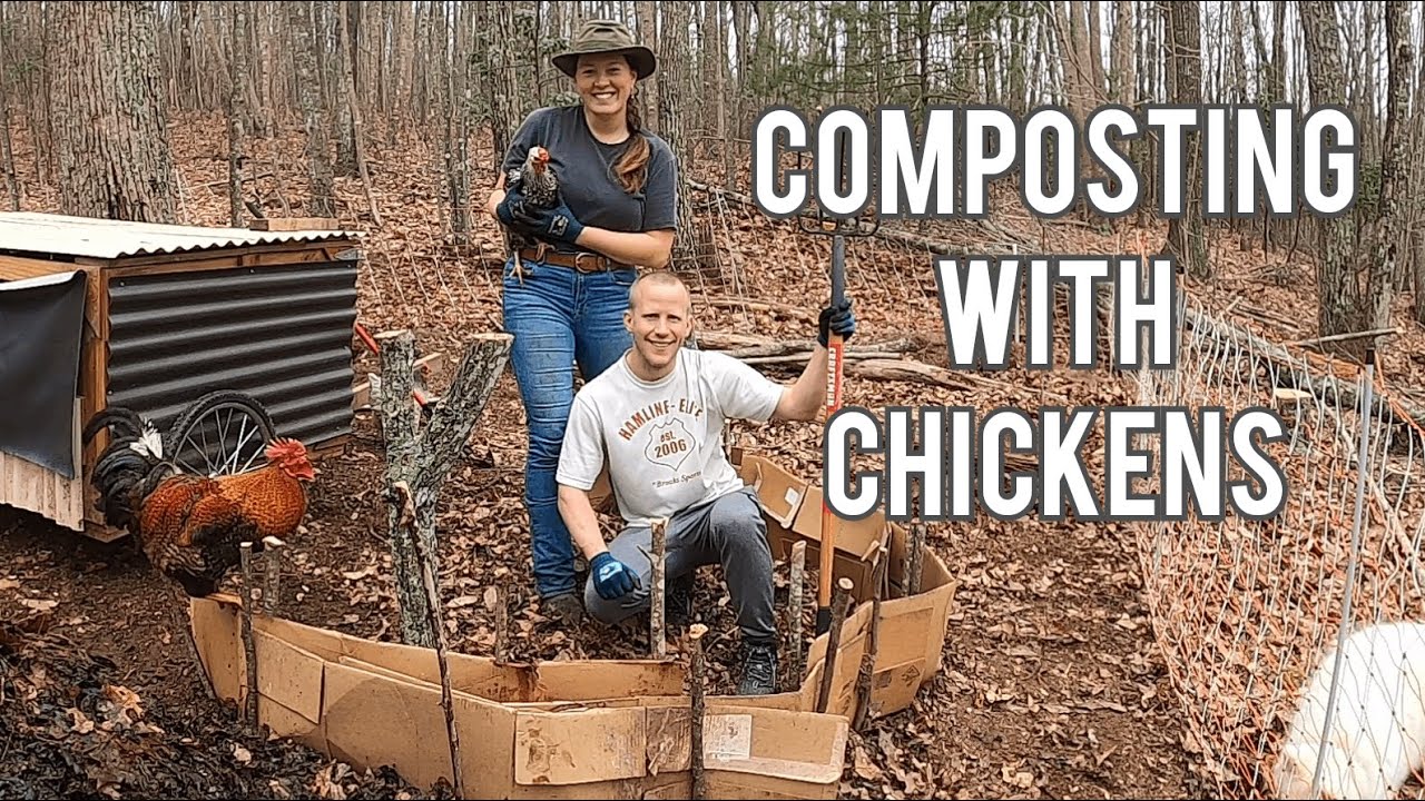 Strand Farm | Composting with Chickens
