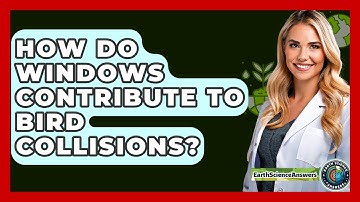 How Do Windows Contribute To Bird Collisions? - Earth Science Answers