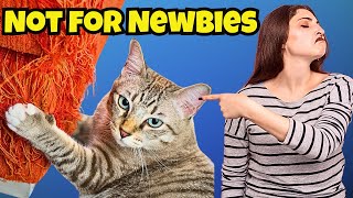 Cat Breeds That First-Time Owners Should Avoid!