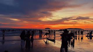 Full We always think that life is infinitely long, but before we realize it, more than half a year has pa News