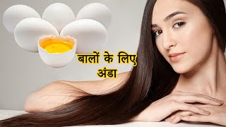 दही में अंडा मिलाकर लगालो: बालो का झड़ना बंद, बाल काले लम्बे हो जायेंगे/ Egg Hair Mask