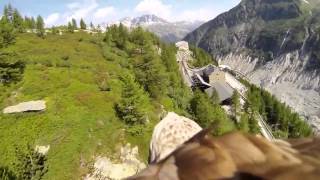 AMAZING POV flying eagle