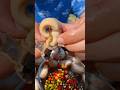 DECLIOUS SNAIL SEAFOOD #asmr #seafood