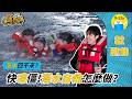鹹魚小隊𝙎𝟮▸EP.10#海上危機｜風平浪靜就安全？超真實狂風暴雨求生挑戰！｜小公視｜#嚴八 #三條魚 #胡子 #宇宙