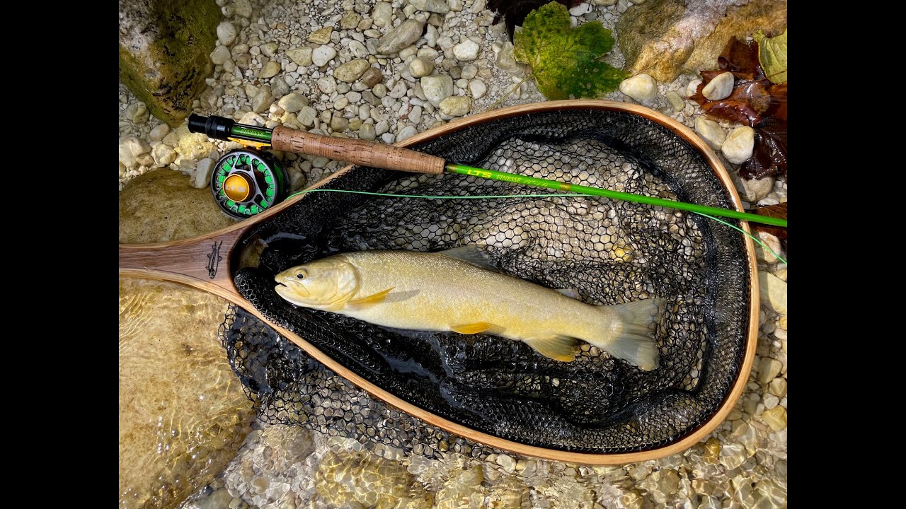 Flyfishing the Soca River, Slovenia - 8/31/24