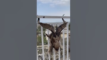 Random video… #subscribe #video #shorts #viral