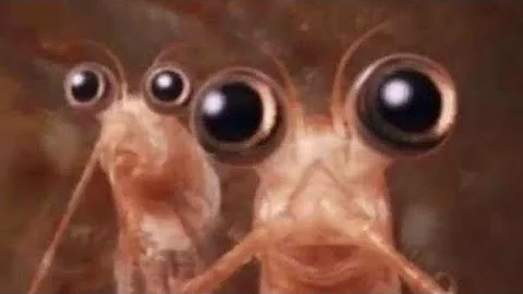 Titanic submarine meme compilation 💀