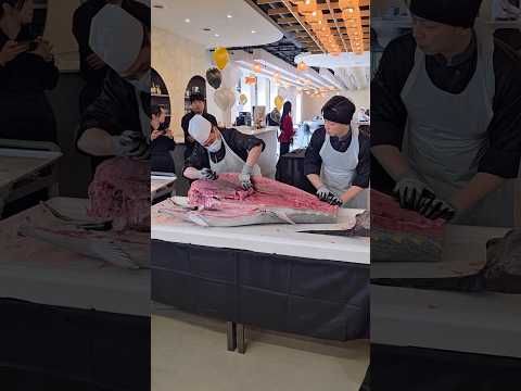 سرمونى ماهى تون ١٥٠ كيلويى