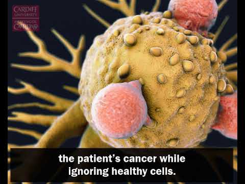 Video: Är Kirurgi Det Bästa Behandlingsalternativet För T-cell Lymfom? - Cardiff Cancer Surgery September