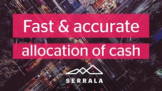 Serrala Alevate CashApp –  Fast & accurate cash application in the cloud screenshot 5