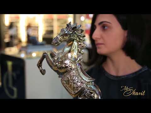 მაქს მეირ შავიტის სტუდია - პრეზენტაცია 2018