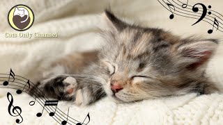 Calming Music for Cats (with cat purring sounds) - Deep Relaxation & Anxiety Relief 24/7 screenshot 5